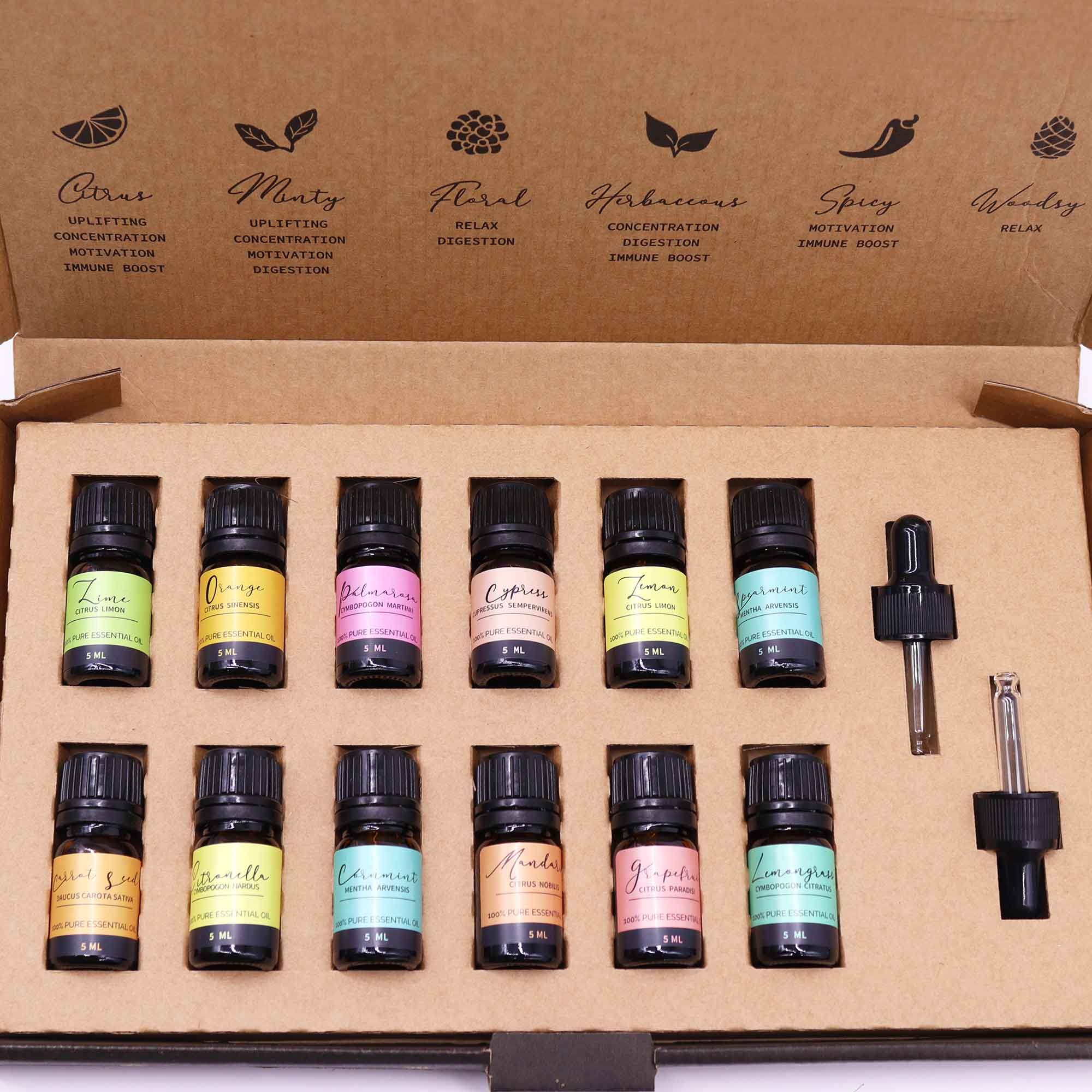 Aromatherapie Ätherische Öle Set - Summer Edition | 12 Sommerduftöle - Homeiyfy