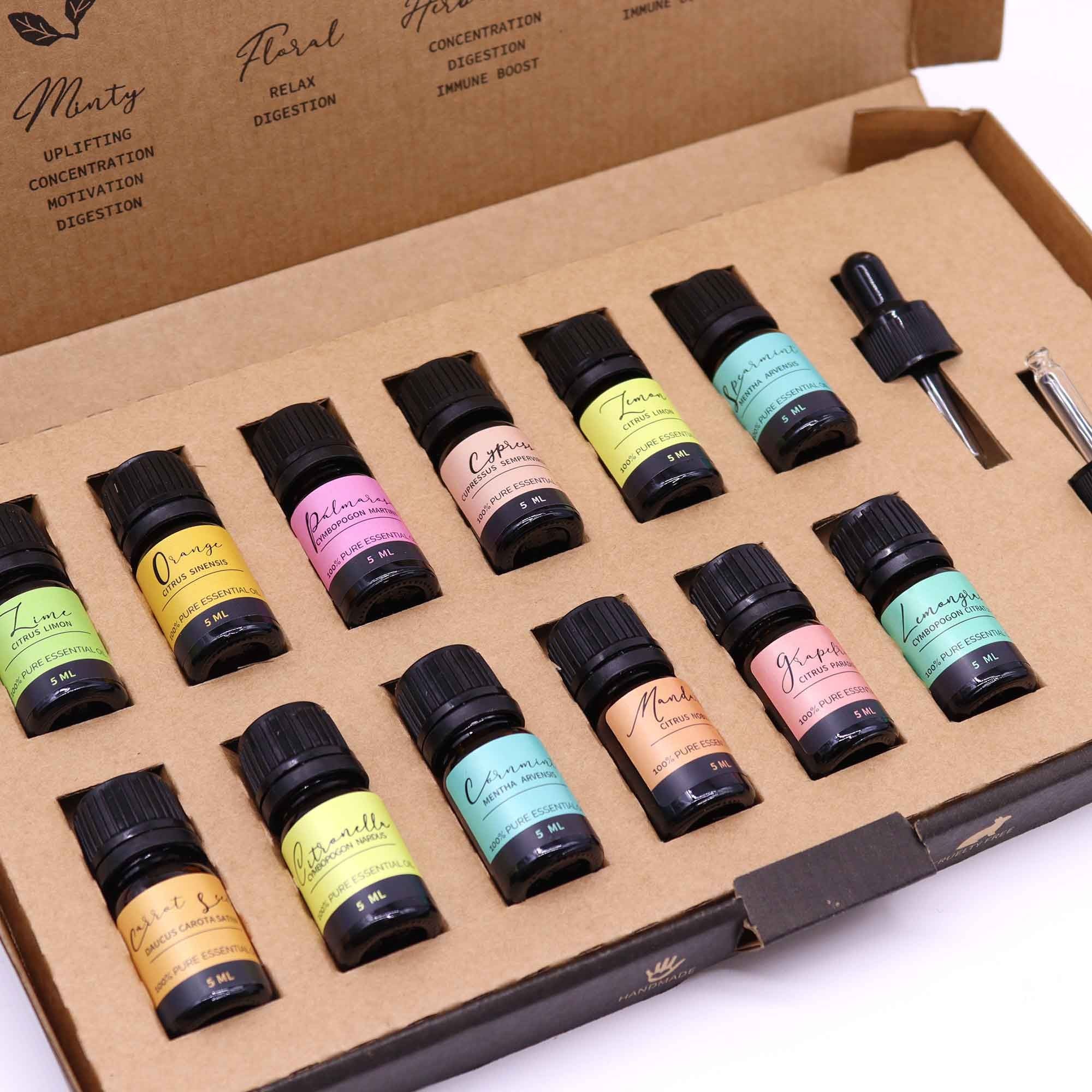 Aromatherapie Ätherische Öle Set - Summer Edition | 12 Sommerduftöle - Homeiyfy