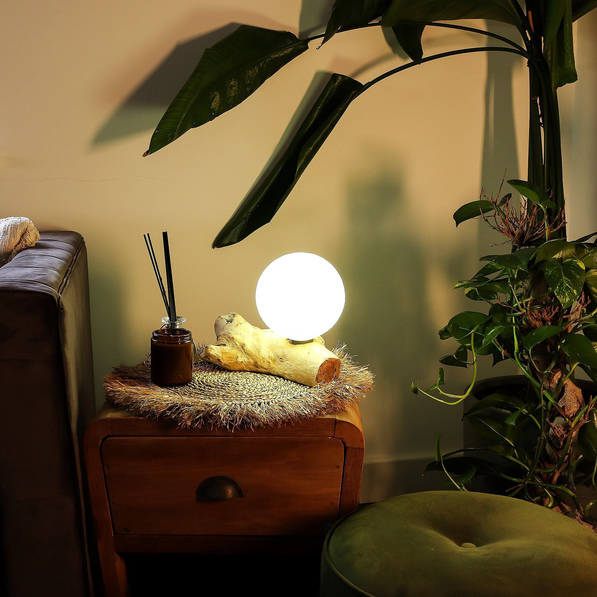 DriftGlow Treibholz - Lampe Luna Ivory – Handgefertigt - Homeiyfy