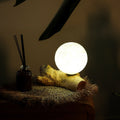 DriftGlow Treibholz - Lampe Luna Ivory – Handgefertigt - Homeiyfy