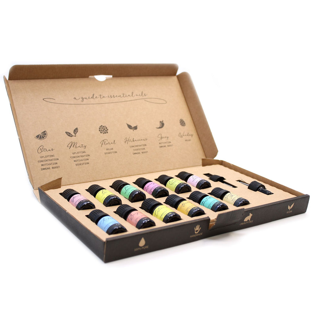 Aromatherapie Ätherische Öle Set - Top 12 Premium Duftöle - Homeiyfy